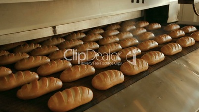 Loaf of bread on the production line in the bakery