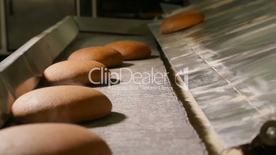 Hot steaming bread out of the oven at the bakery.