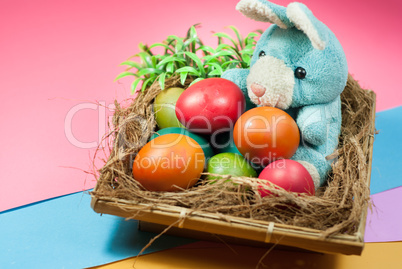 Photos decorating Easter bunny and colorful Easter eggs.