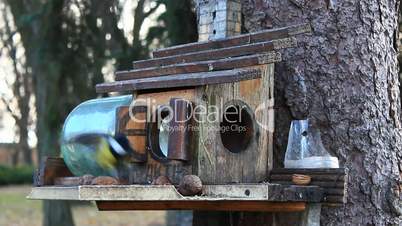 tomtites and nuthatch on the feeding-rack seeks the birdseed