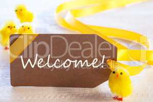 Easter Label, Chicks, Text Welcome