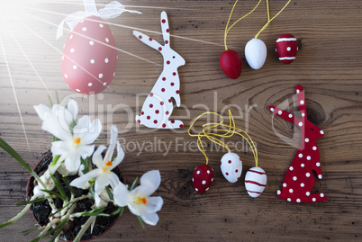 Sunny Easter Decoration, Crocus, Bunny And Eggs
