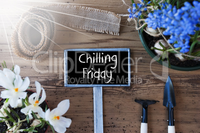 Sunny Spring Flowers, Sign, Text Chilling Friday