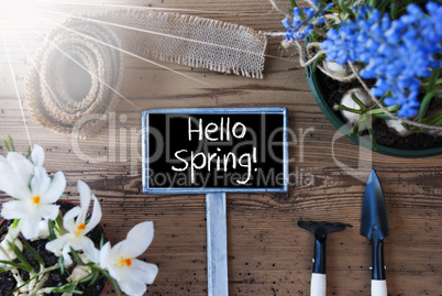 Sunny Flowers, Sign, Text Hello Spring
