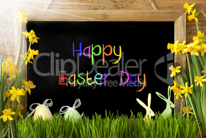 Sunny Narcissus, Egg, Bunny, Colorful Text Happy Easter Day