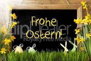 Sunny Narcissus, Egg, Bunny, Frohe Ostern Means Happy Easter