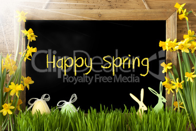 Sunny Narcissus, Easter Egg, Bunny, Text Happy Spring