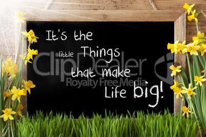 Sunny Spring Narcissus, Chalkboard, Quote Little Things Make Life Big