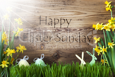 Sunny Egg And Bunny, Gras, Text Happy Easter Sunday