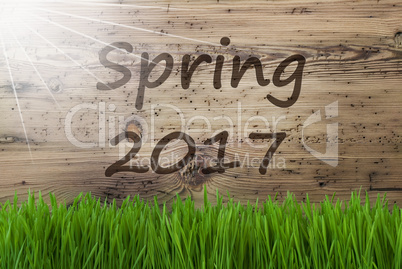 Sunny Wooden Background, Gras, Text Spring 2017