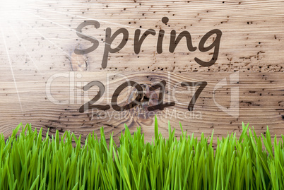 Bright Sunny Wooden Background, Gras, Text Spring 2017