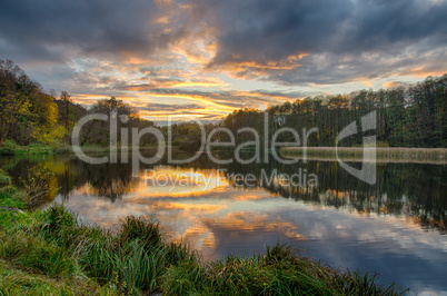 Sunset on the lake with forest with green grass in summer.