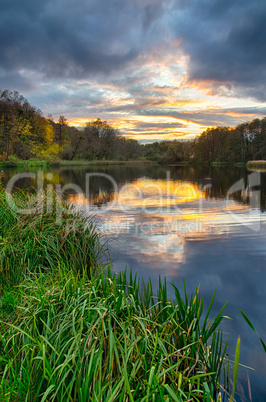 Sunset on the lake with forest with green grass in summer.