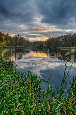 Sunset on the lake with forest with green grass in summer.