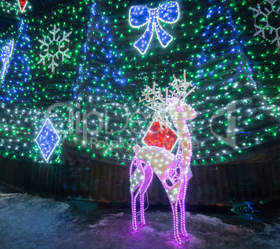 Deer with bright lights and decorated fir.