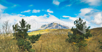 Beautiful Crimea mountain and forest sunny summer landscape.