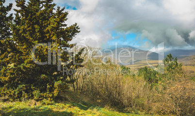 Beautiful Crimea mountain and forest sunny summer landscape.