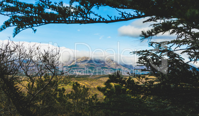 Beautiful Crimea mountain and forest sunny summer landscape.