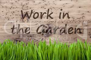 Bright Wooden Background, Gras, Text Work In The Garden