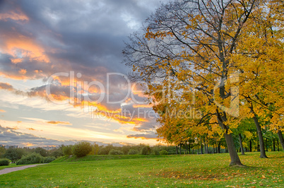 Beautiful sunset at the autumn park