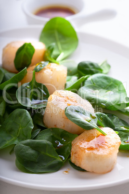 Scallop Salad with greenery on a white plate.