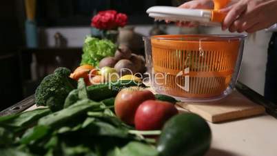 Female hands putting spinach leaves into spinner