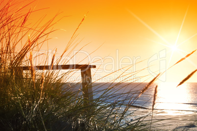 bench on the coastline