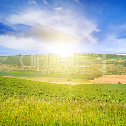 hilly terrain, spring field and sunrise on blue sky