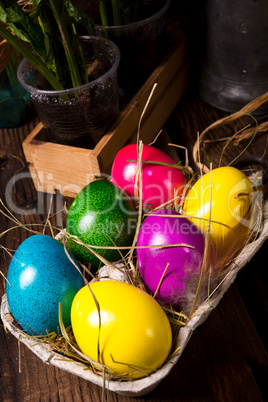 easter eggs and daffodils