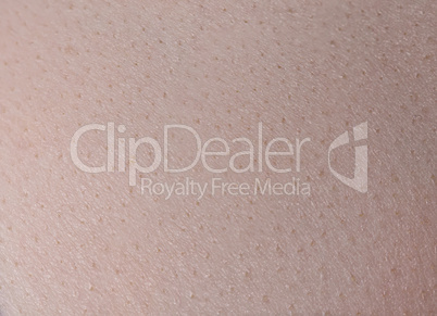 Texture of young woman's skin