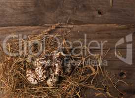 Natural Easter nest background