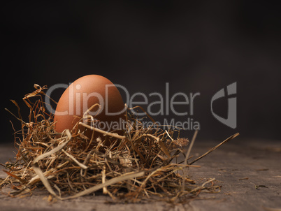 Organic brown egg
