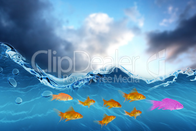 Composite image of goldfish