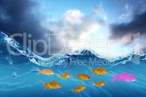Composite image of goldfish