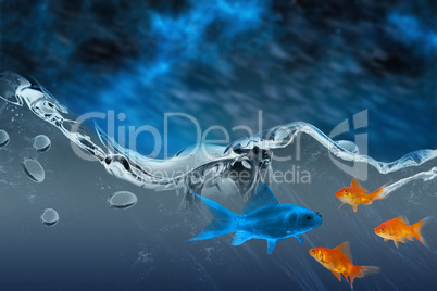 Composite image of orange goldfish