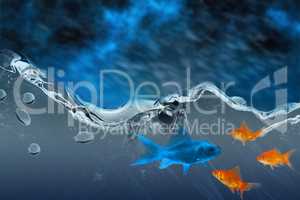 Composite image of orange goldfish