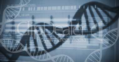 Genetic research information on DNA