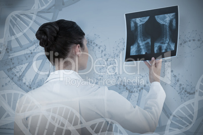 Composite image of female doctor checking x-ray report