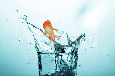 3D Composite image of goldfish swimming with mouth open against white screen