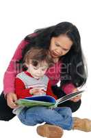 Nanny read book to little boy.
