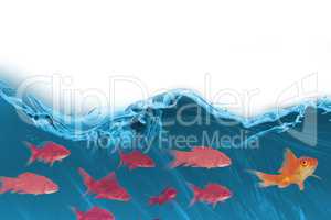 3D Composite image of goldfish against white background
