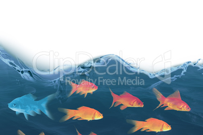 3D Composite image of side view of fish swimming