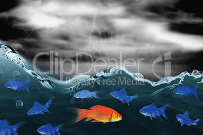 Composite image of goldfish