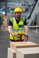 Factory worker pulling trolley of cardboard boxes