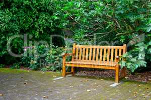 Wooden bench in beautiful park