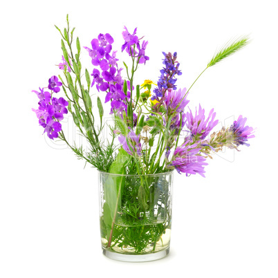Wildflowers in glass isolated on white
