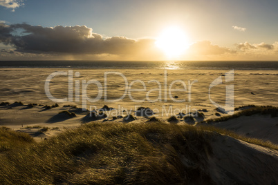 Landschaft mit Dünen auf der Insel Amrum