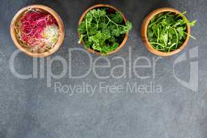 Bowls of shredded cabbage and herbs