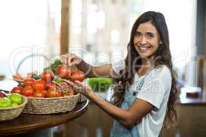 Smiling woman picking fresh tomatoes from the basket
