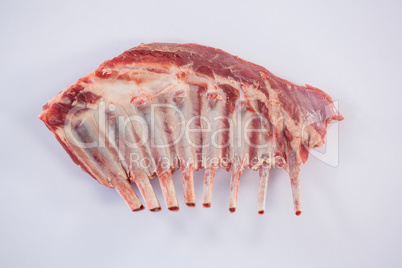 Rib rack against white background